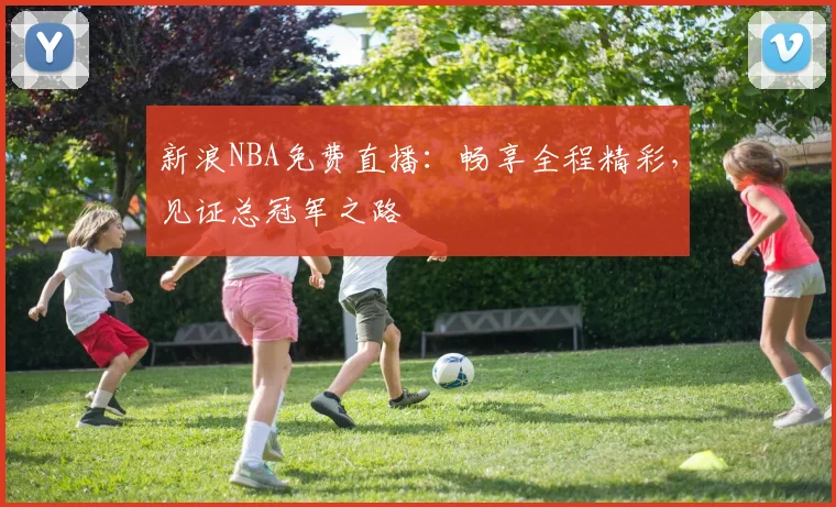 新浪NBA免费直播：畅享全程精彩，见证总冠军之路