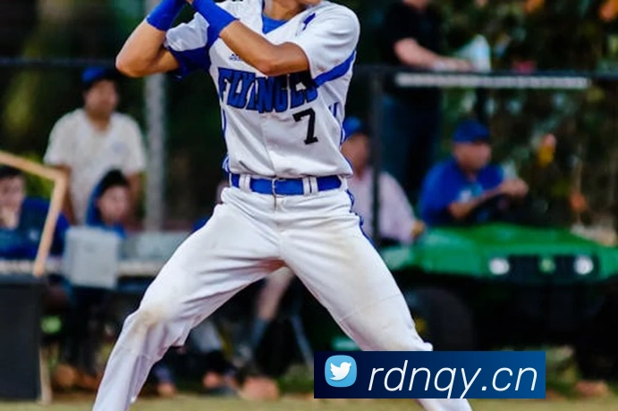 App Interface Preview